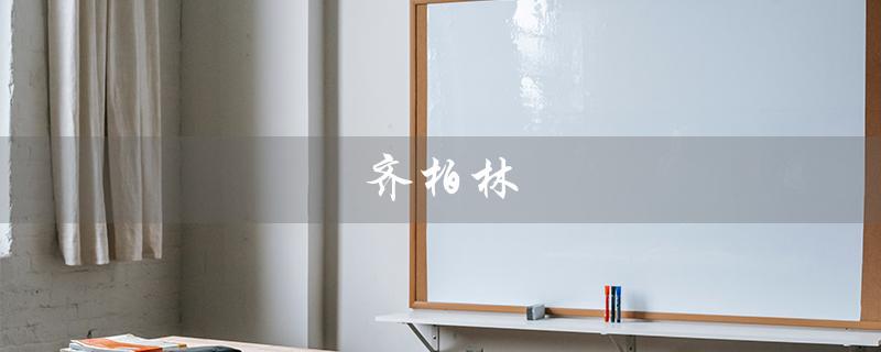齐柏林（什么是齐柏林手表）