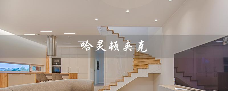 哈灵顿夹克（哈灵顿夹克含义）