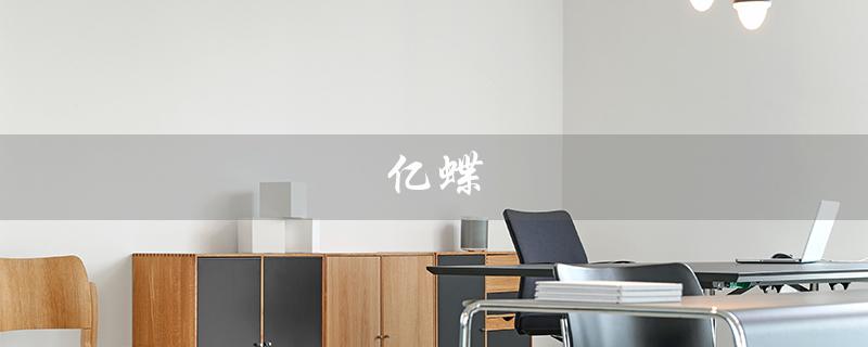 亿蝶（亿蝶塑身衣价格）