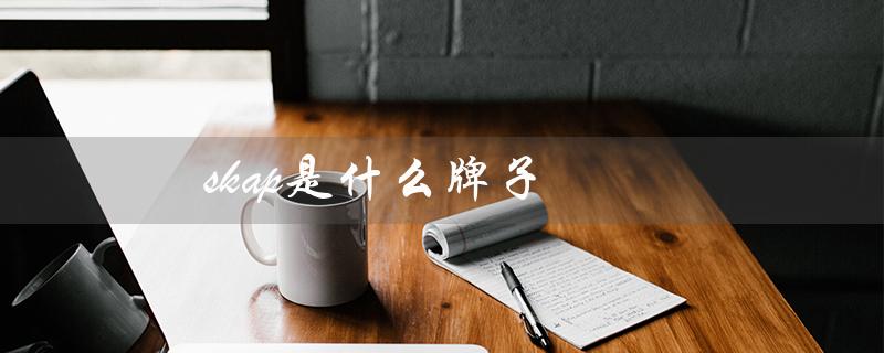 skap是什么牌子（skap鞋是哪个牌子的）