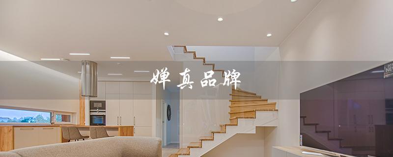 婵真品牌（婵真防晒品牌介绍）