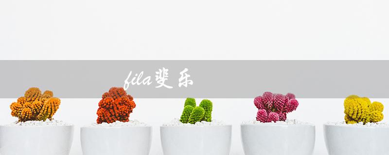 fila斐乐（Fila斐乐档次如何）
