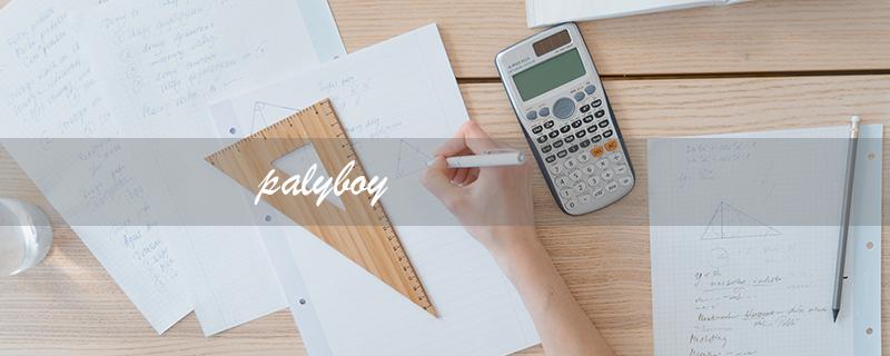 palyboy（什么是palyboy的含义）