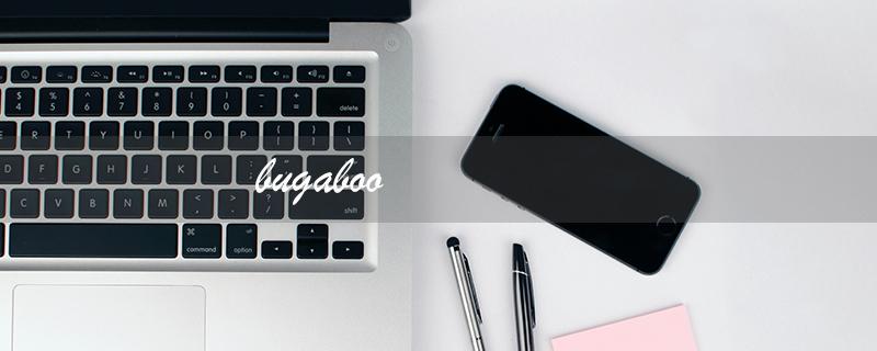 bugaboo（bugaboo官网是什么）