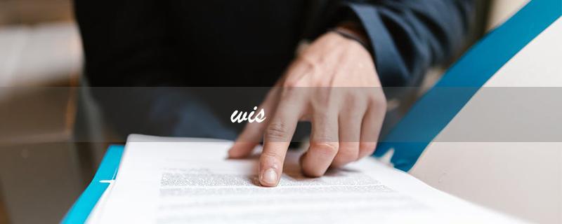 wis（wis牌子是什么）