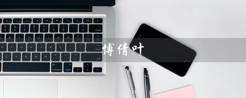 博倩叶（博倩叶洗面奶好用吗）