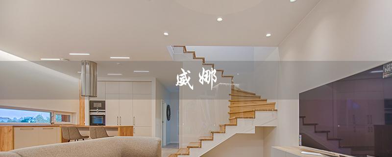 威娜（威娜洗发水好用吗）