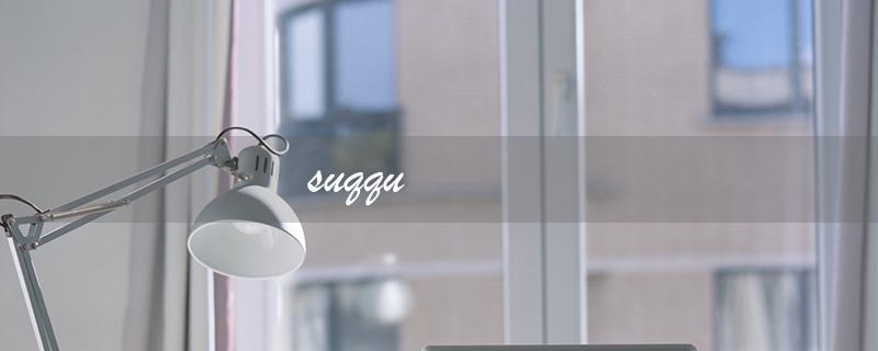 suqqu（suqqu粉霜是什么）