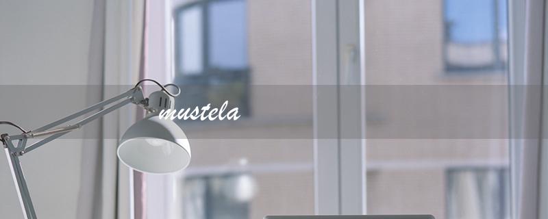 mustela（什么是mustela润肤乳）
