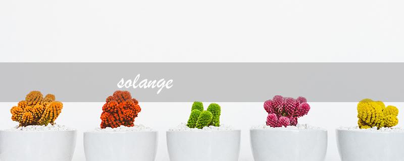 solange（solange的含义是什么）