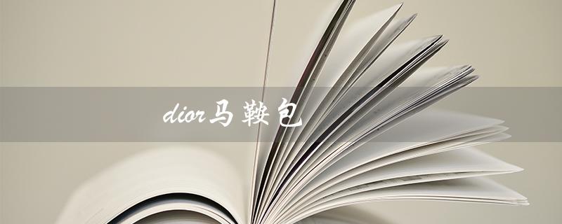 dior马鞍包（dior马鞍包官方价格是多少）