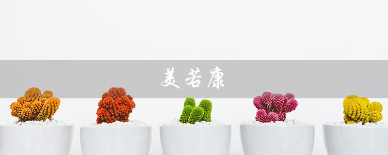 美若康（美若康隐形眼镜好吗）