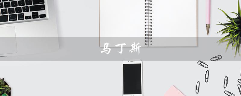马丁斯（马丁斯顿是什么）