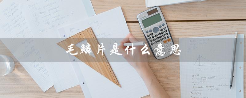 毛鳞片是什么意思（头发毛鳞片的含义是什么）