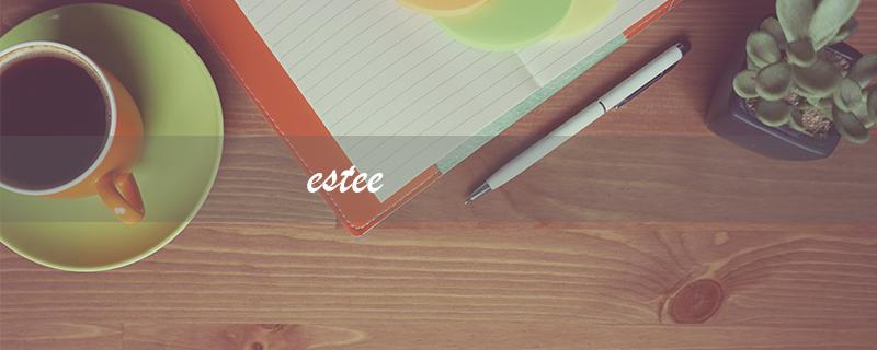 estee（什么是esteem）