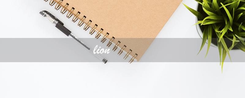 lion（lion应该怎么读）