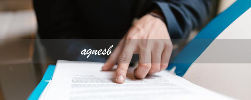 agnesb（agnes b是哪个牌子）
