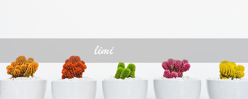 limi（什么是limited）