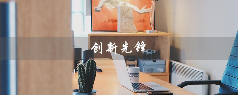 创新先锋（谁是创新先锋）