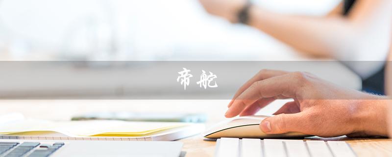 帝舵（帝舵官方网是什么）