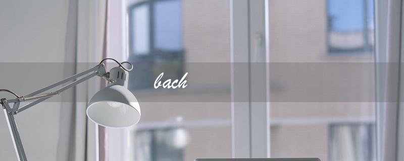 bach（bach是谁是什么）