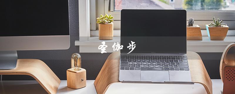 圣伽步（圣伽步皮鞋档次如何）