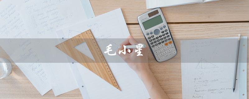 毛小星（谁是毛小星）