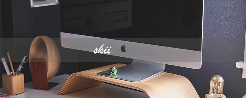 skii（滑雪是什么）