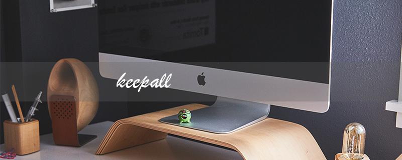 keepall（什么是keepall旅行袋）