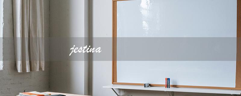 jestina（Jestina官网旗舰店是什么）