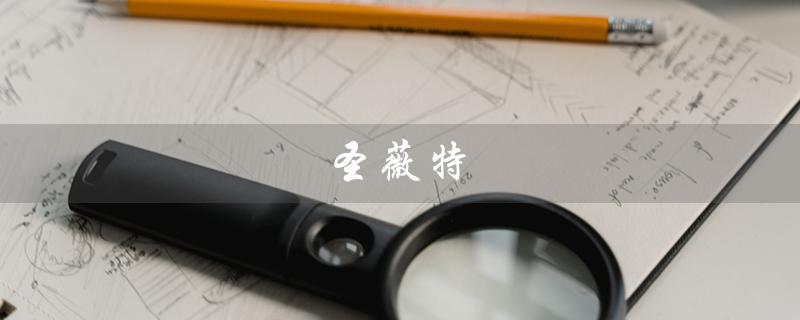 圣薇特（圣薇特transvital官网是什么）