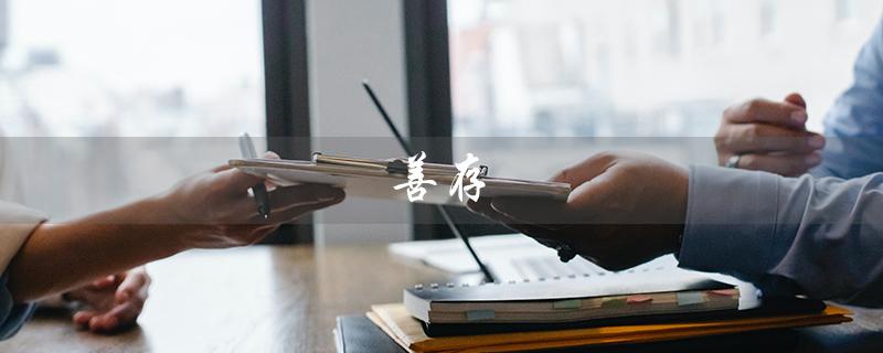 善存（善存片有何作用）