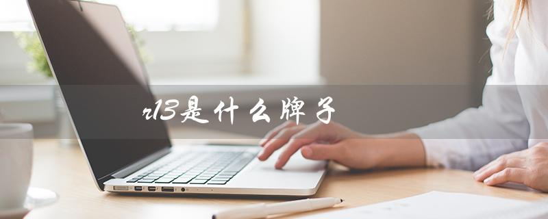 r13是什么牌子（r13鞋子是哪个品牌）
