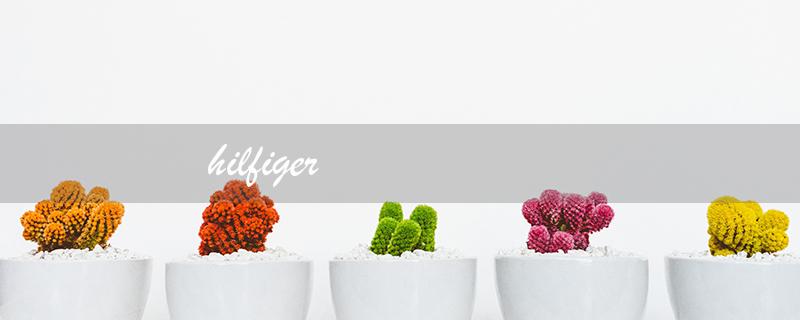 hilfiger（hilfiger男装品牌是什么）
