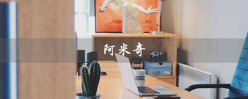 阿米奇（阿米奇电动车质量如何）