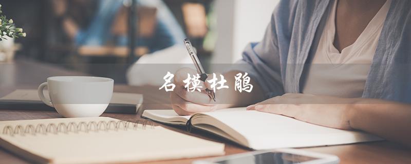 名模杜鹃（谁是名模杜鹃）