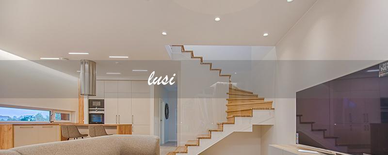 lusi（什么是鹭鸶）