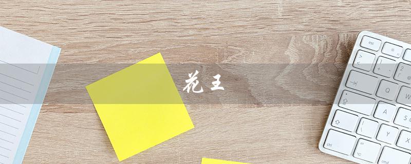 花王（什么是花王卫生巾）