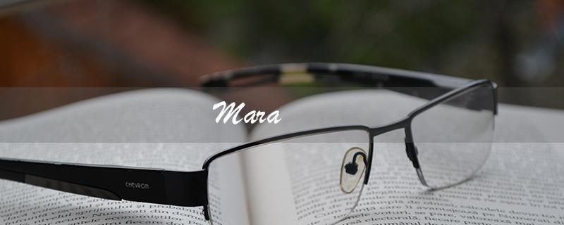 Mara（什么是马拉松）