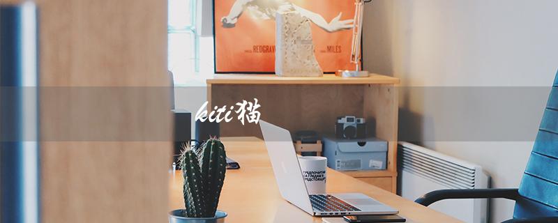 kiti猫（kiti猫壁纸情侣是什么）