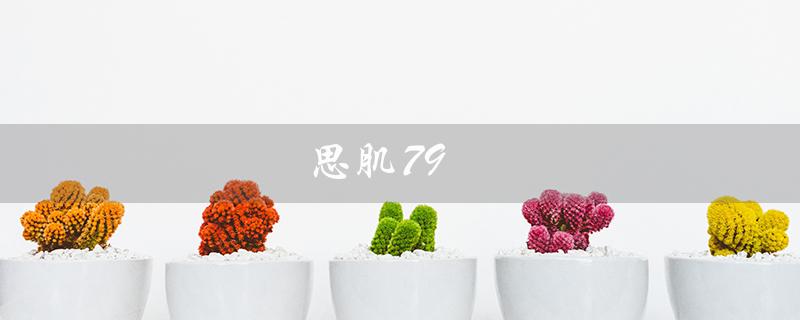 思肌79（思肌肤是什么）