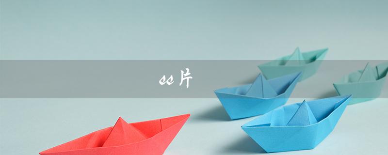 ss片（什么是SS片段）