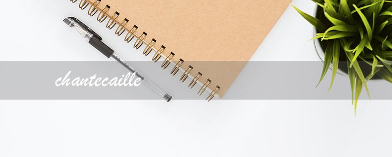 chantecaille（香缇卡官网是什么）