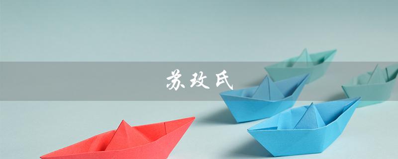苏玫氏（苏玫氏头发纤维粉安全吗）
