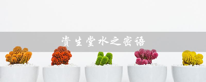 资生堂水之密语（资生堂洗发水怎么样）