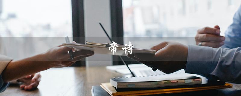 帝诗（什么是帝诗r车）