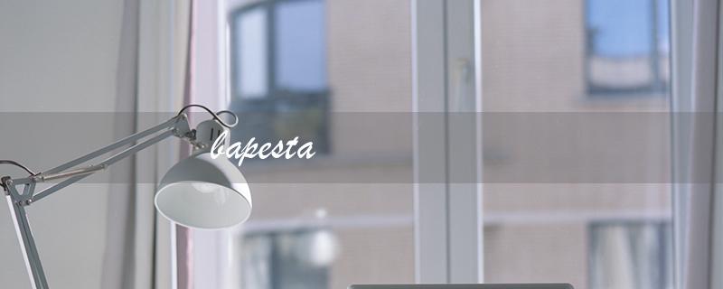 bapesta（bapesta是哪个品牌）