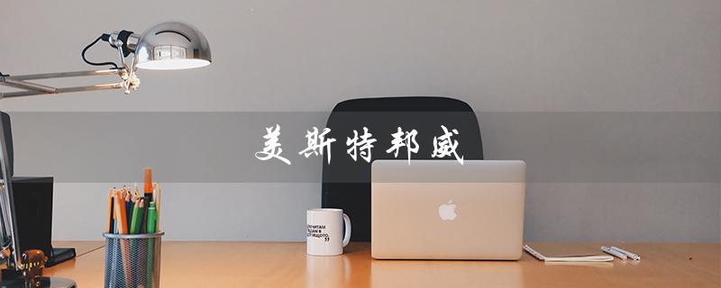 美斯特邦威（美特斯邦威的logo是什么）