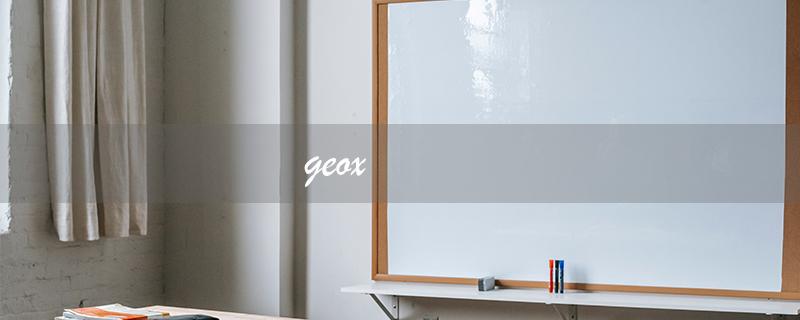 geox（geox属于哪个档次）