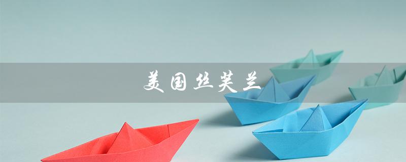 美国丝芙兰（美国丝芙兰官网如何进入）